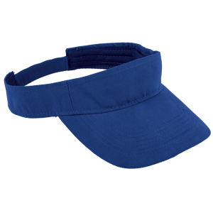 Wing Visor